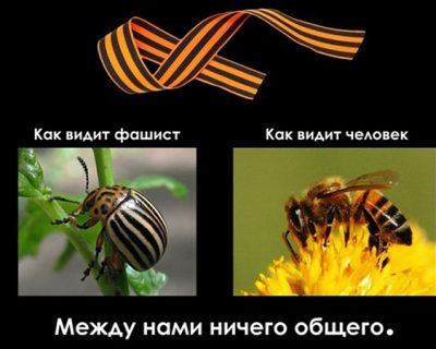 Разница зрения