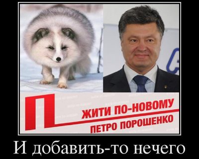 Порошенко признал, карательными мерами Донбасс не победить