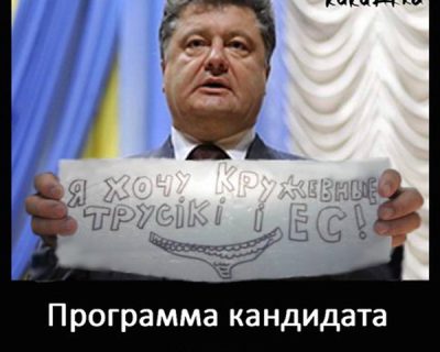 Программа Порошенко - кратко