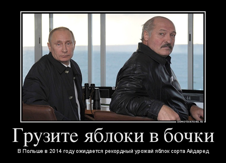 Грузите яблоки в бочки