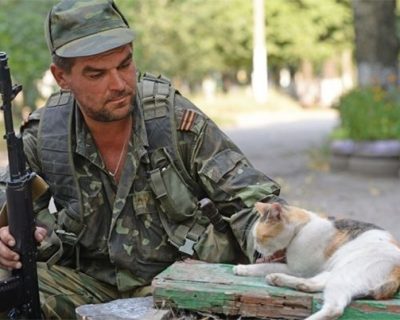 В ОБСЕ не считают антифашистских ополченцев «сепаратистами» или «террористами»