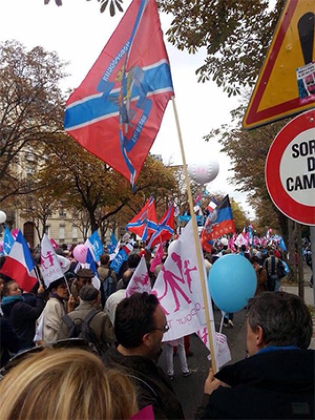 500 тысяч французов митинговали против гомосятины