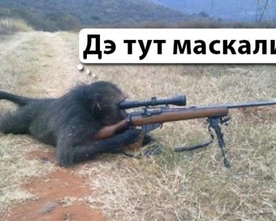 Культура Украины благодаря бандерлогам впала в примитивную шароварщину