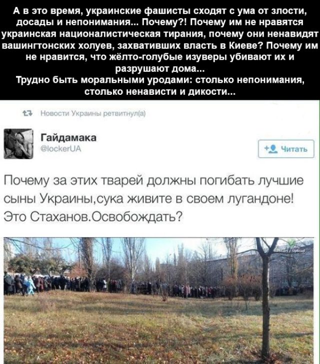 Жители Новороссии выбирают свою власть