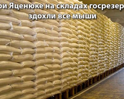Яценюк разворовал всё, опустошены даже склады госрезерва