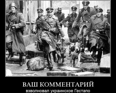 «Правозащитники» - украинское Гестапо имеет право...