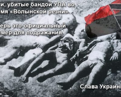Киевская хунта будет «праздновать» 9 мая под нацистскими знамёнами