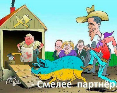 Смелее, партнёр!