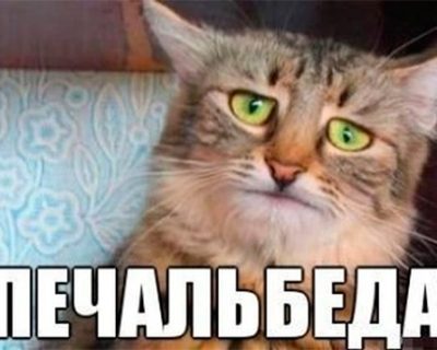 За права копрофилов