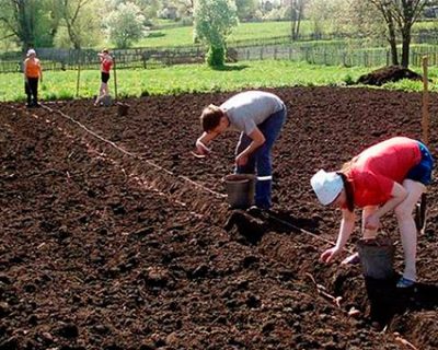 При Януковиче в Турцию и Египет, при путчистах - на огород