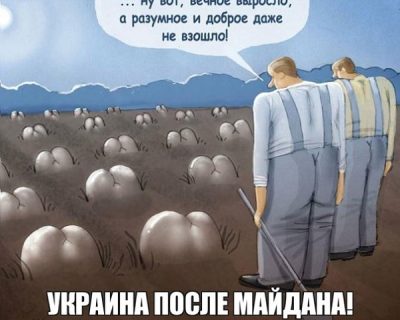 Не то посеяли...