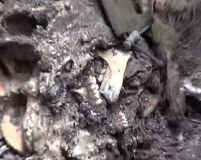 Под завалами донецкого аэропорта найдены новые останки карателей
