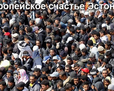 Негры и арабы помогут эстонцам влюбится в русских