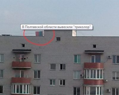 Из будней жёлто-голубых стукачей