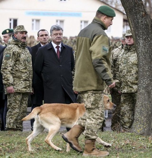 Природа цивилизационной бесплодности Украины