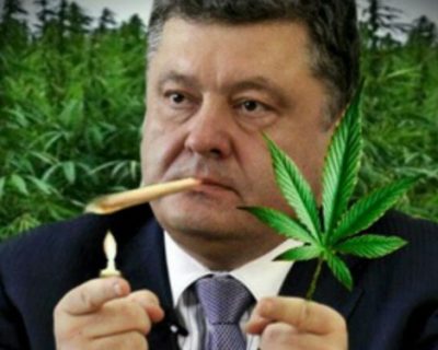 Поосторожнее-то с грибочками!
