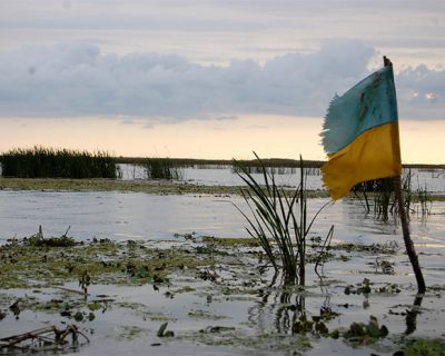 Ужас без конца