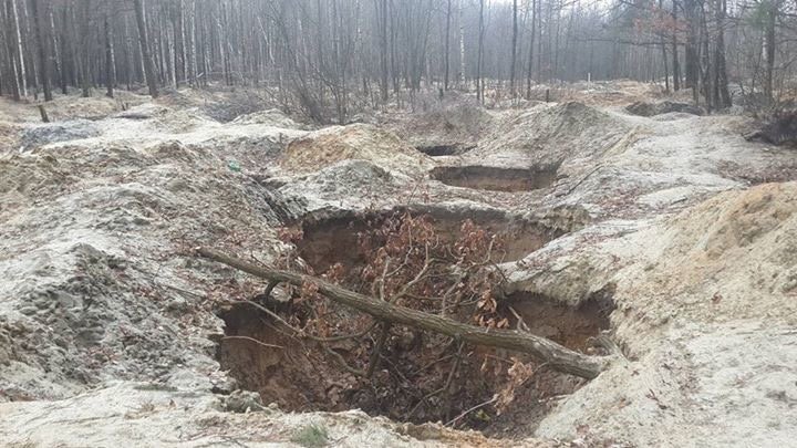 Экологическая катастрофа в Полесье из-за незаконной добычи янтаря Экологическая катастрофа в Полесье из-за незаконной добычи янтаря