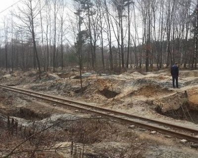 Экологическая катастрофа в Полесье из-за незаконной добычи янтаря
