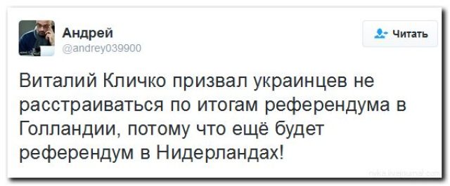 Реакция упоротых майдаунов на результаты референдума в Нидерландах