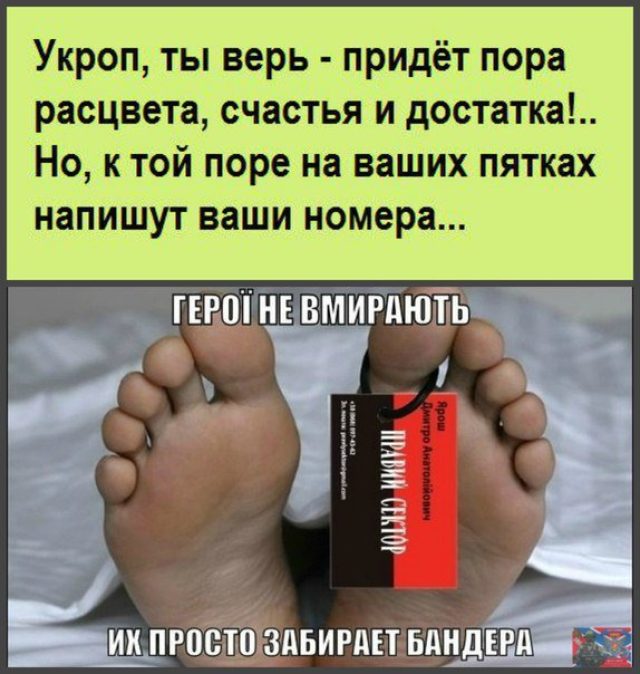 ДРГ карателей попыталось атаковать позиции армии ДНР