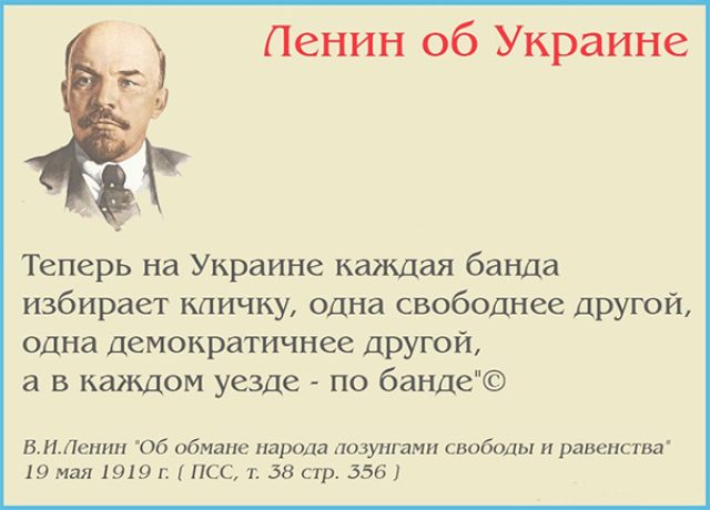 Косатая воровка тоже создала свою банду карателей Косатая воровка тоже создала свою банду карателей