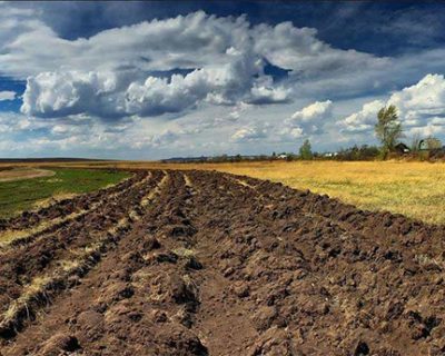 Американцы написали киевским путчистам план распродажи чернозёмов Украины