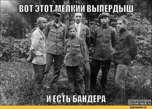 Сенат Польши признал геноцидом Волынскую резню Сенат Польши признал геноцидом Волынскую резню