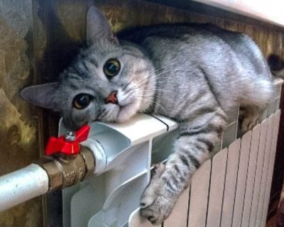 Скоро безвиз: #Зимабудеттёплой