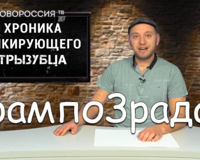 Хроника пикирующих вил #28: ТрампоЗрада