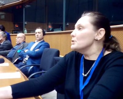 Татьяна Монтян в Европарламенте: Украина – failed stat, её разорвут