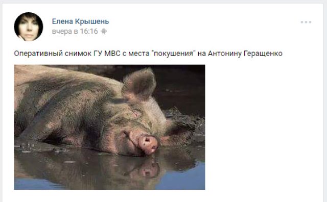 Театральный эксперт разгромил игру «Тухлого сало» Геращенко в комедии СБУ