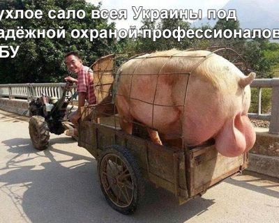 Театральный эксперт разгромил игру «Тухлого сало» Геращенко в комедии СБУ