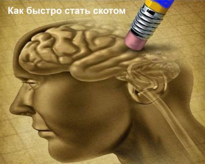 Украинская школа как инкубатор скотного двора