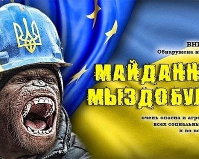 #МиЗдобули