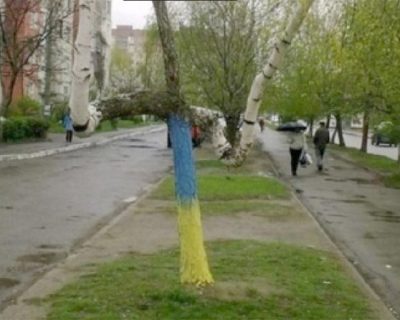 Украинские ученые доказали: Березы и подорожник - доказательство экологической агрессии России