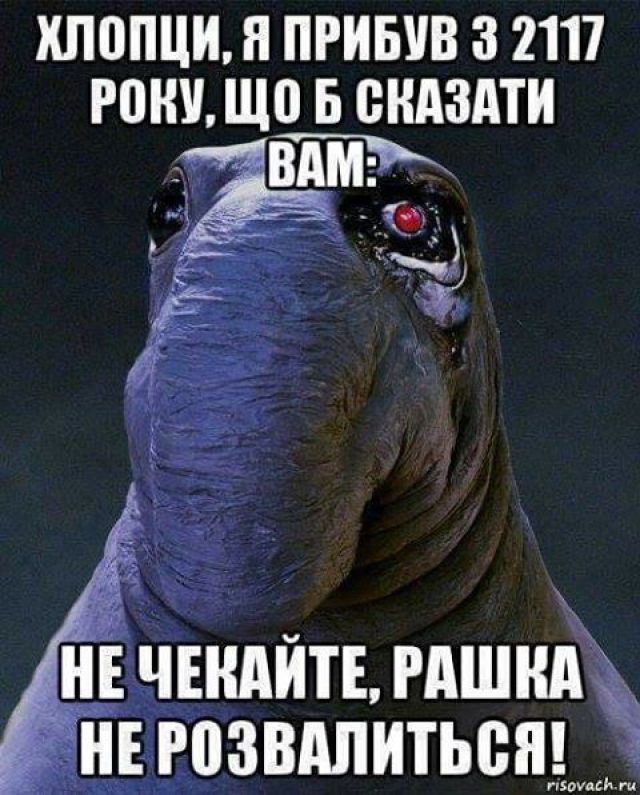 «Соседская корова так и не сдохла»