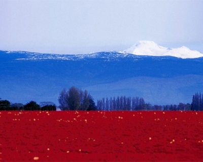 России чего не нужно