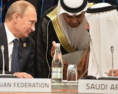 Лай саудовского пуделя