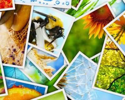 Печать фотографий в Киеве – выгодное предложение на сайте bee-print.com.ua