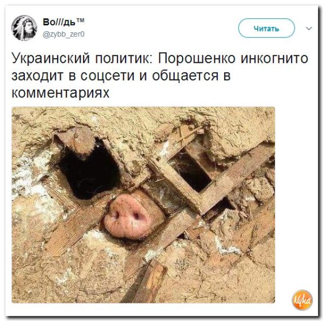 #белка97