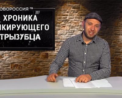 Жёлто-голубые барины и холопы: пикирующие вилы #53