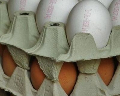 В Польше проблема с яйцами, вся надежда на Украину
