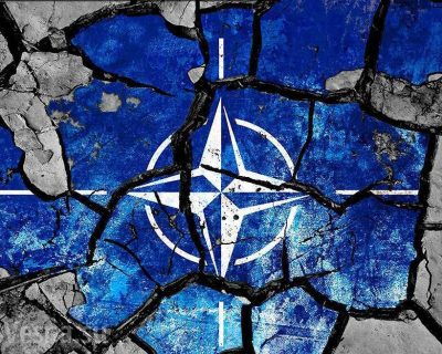 О мёртвом мозге НАТО