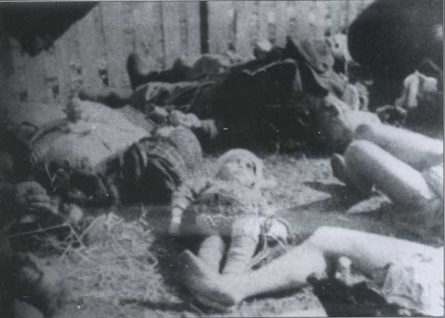 Жертвы массового убийства боевиков ОУН-УПА. Село Липники, 23 марта 1943 год.