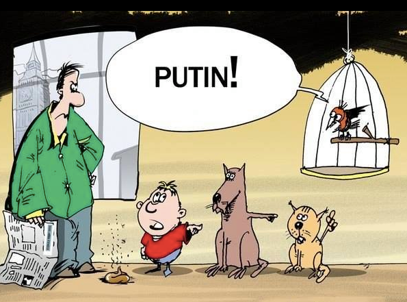 Кошка бросила котят - это Путин виноват