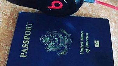 Photo of Дети Кличко хвастаются американскими паспортами и называют США домом