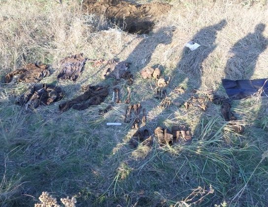Под Лутугино найдено тайное захоронение жертв украинских фашистов