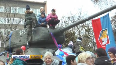 Photo of Жители польского города вышли на пикет в защиту советского танка Т-34