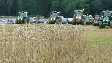 Photo of Рекордный урожай пшеницы в России угрожает фермерам США
